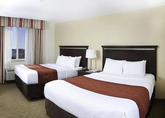 Comfort Suites Tampa Airport North